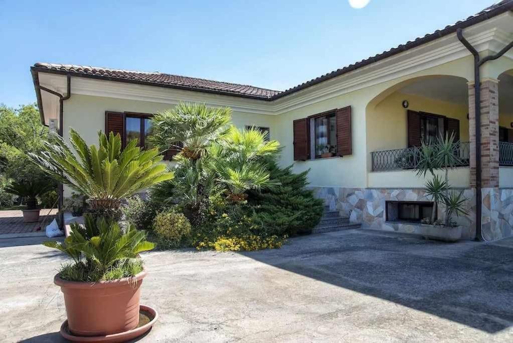 Alghero Villa Mistral Per 7 Persone Terrazza Bbq Ac Wifi Екстер'єр фото